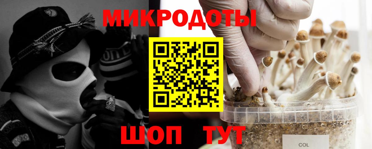 Воткинск  Галлюциногенные грибы MAGIC MUSHROOMS  Вход с VPN 